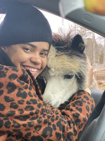 the alpaca approves